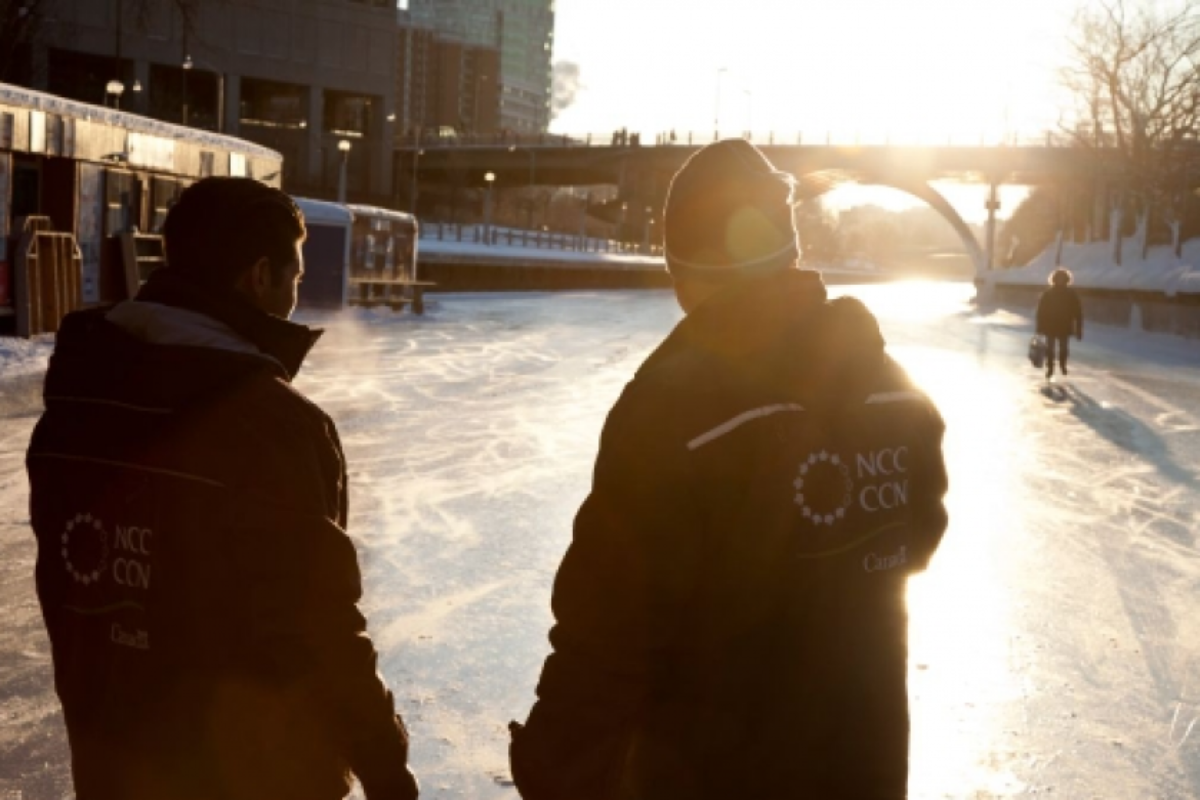 NCC staff on the ice, facing the sunlit Skateway.